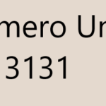 numero unico
